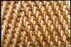VISION-SISAL.jpg (113832 bytes)