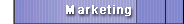 Internet Marketing