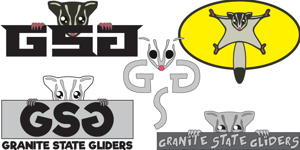 Granite State Gliders