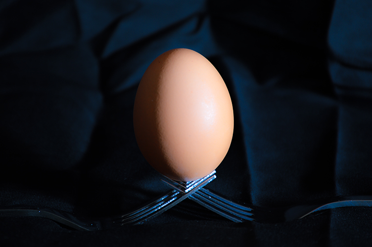 Egg