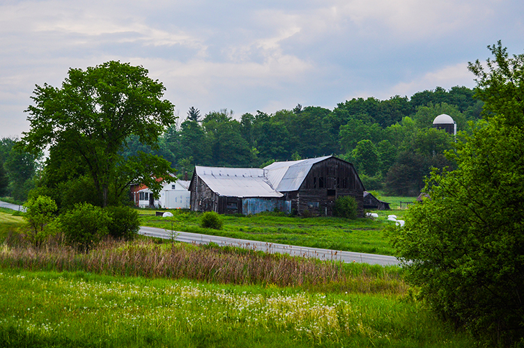 Farm