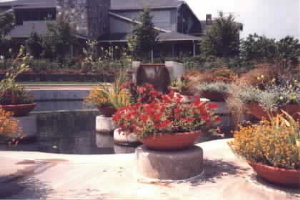 North Carolina Arboretum