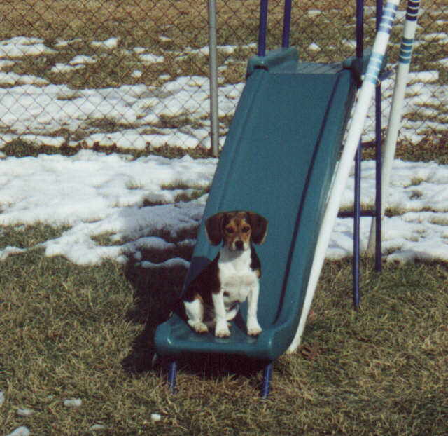 Angel on slide