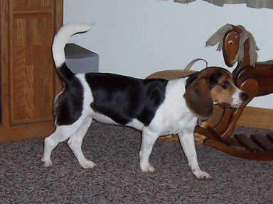 Gretchen