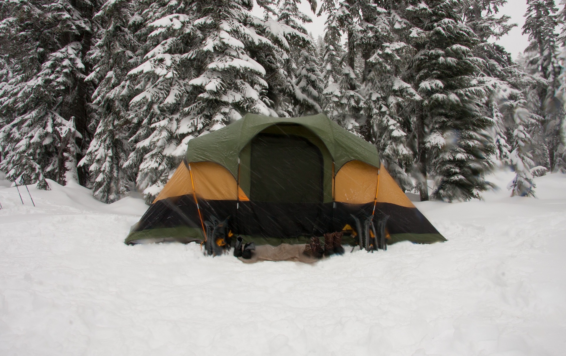 tent
