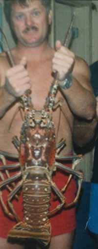 a real florida lobster
