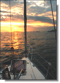 Ilha das Couves