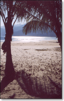 Lopes Mendes