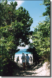 Lopes Mendes trail...