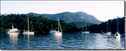 Ilha da Cotia, Paraty-Mirim