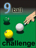 CYA-PUP 9-Ball Challenge