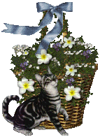 The Site Fights Blooming Baskets