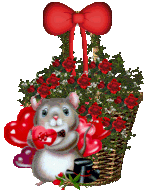 The Site Fights Blooming Baskets