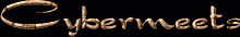 Cybermeets