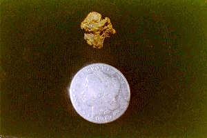 A 3/4 oz Nugget and Silver Dollar for Scale