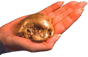 A 30 oz. Palm-Sized Nugget