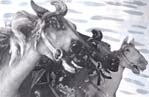 s-car-horses.jpg (11376 bytes)