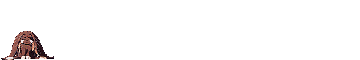 ryoki2.gif (13543 bytes)