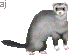 tinywd2.gif (8566 bytes)
