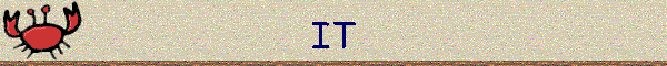 IT