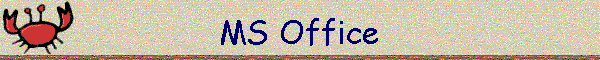 MS Office