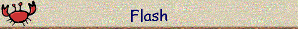 Flash
