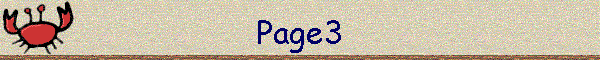 Page3