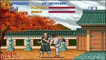 STREET FIGHTER (1987)