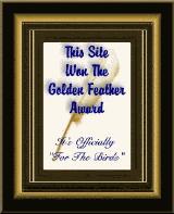 Golden Feather Award