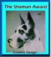 Shaman's Creative Design Award