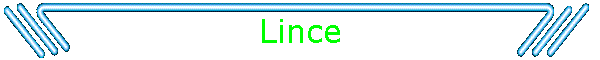 Lince