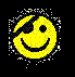 pirata.gif (1922 bytes)