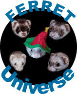 Ferret-Universe!