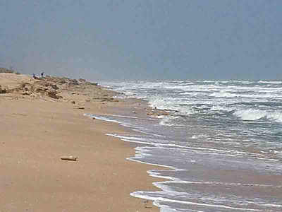 Palm Coast beach made out of ground coquina rocks!