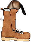 Now that your looking, I dare you to click this boot! Heh heh!