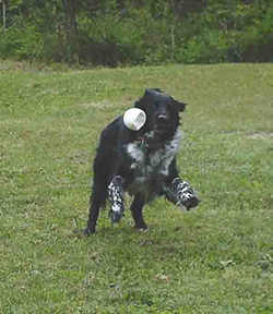 You'll never see this ball again dude!