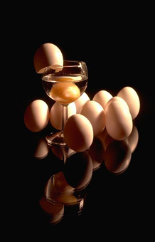 Hey what do you expect? An egg in your beer? Sheesh! This is purely for amusements only!