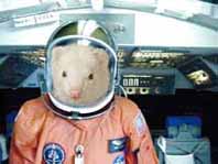 Astro-ferret Shelby during the little known mission to Mars!