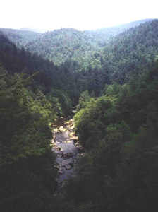 View from the Blueridge Parkway on the way to Grandfather Mountain