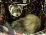 You mind? I'm trying to sleep here!
