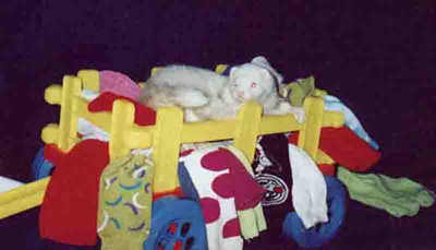 Shelby helps pack down all those socks so they can add more to the wagon