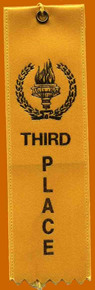 3rd place Tube Races