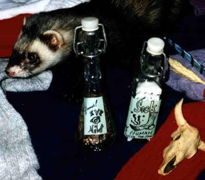 The two very combustable ingredients in the Little Ferret's Wizard and Alchemy Kit!