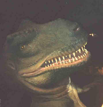 Big nasty close up of mean old T-rex!