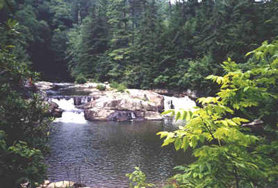 Small waterfull on a hiking trail at Grandfather Mtn. in North Carolina