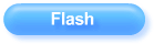 Flash