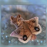 fur-bearin critter