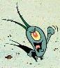 plankton