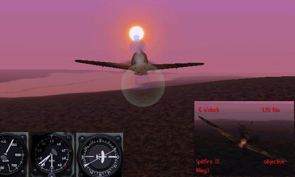 fly at dawn