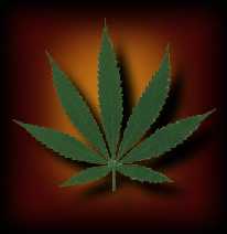 just say grow